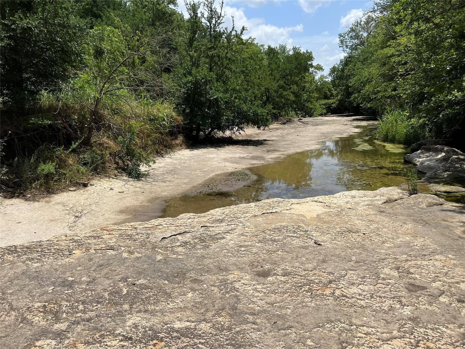 79.04 acres in Fannin County - photo 14