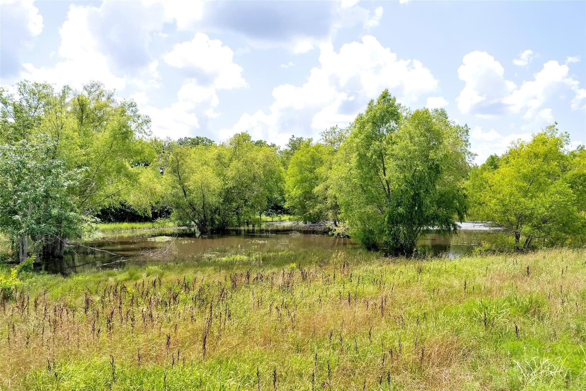 79.04 acres in Fannin County - photo 12