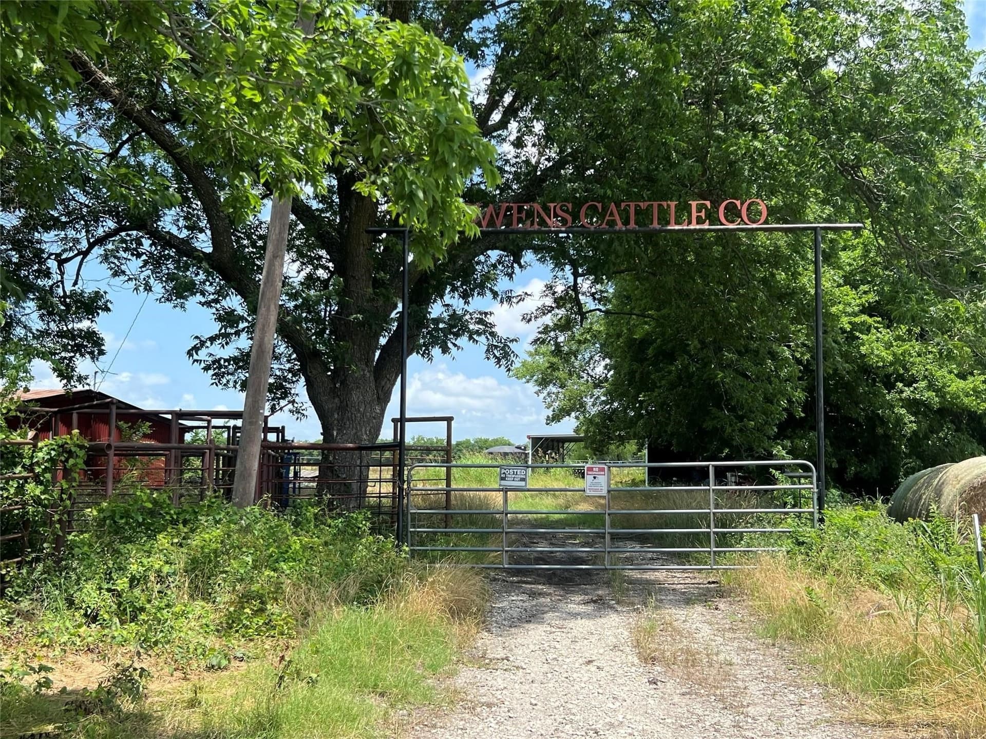79.04 acres in Fannin County gallery image 3