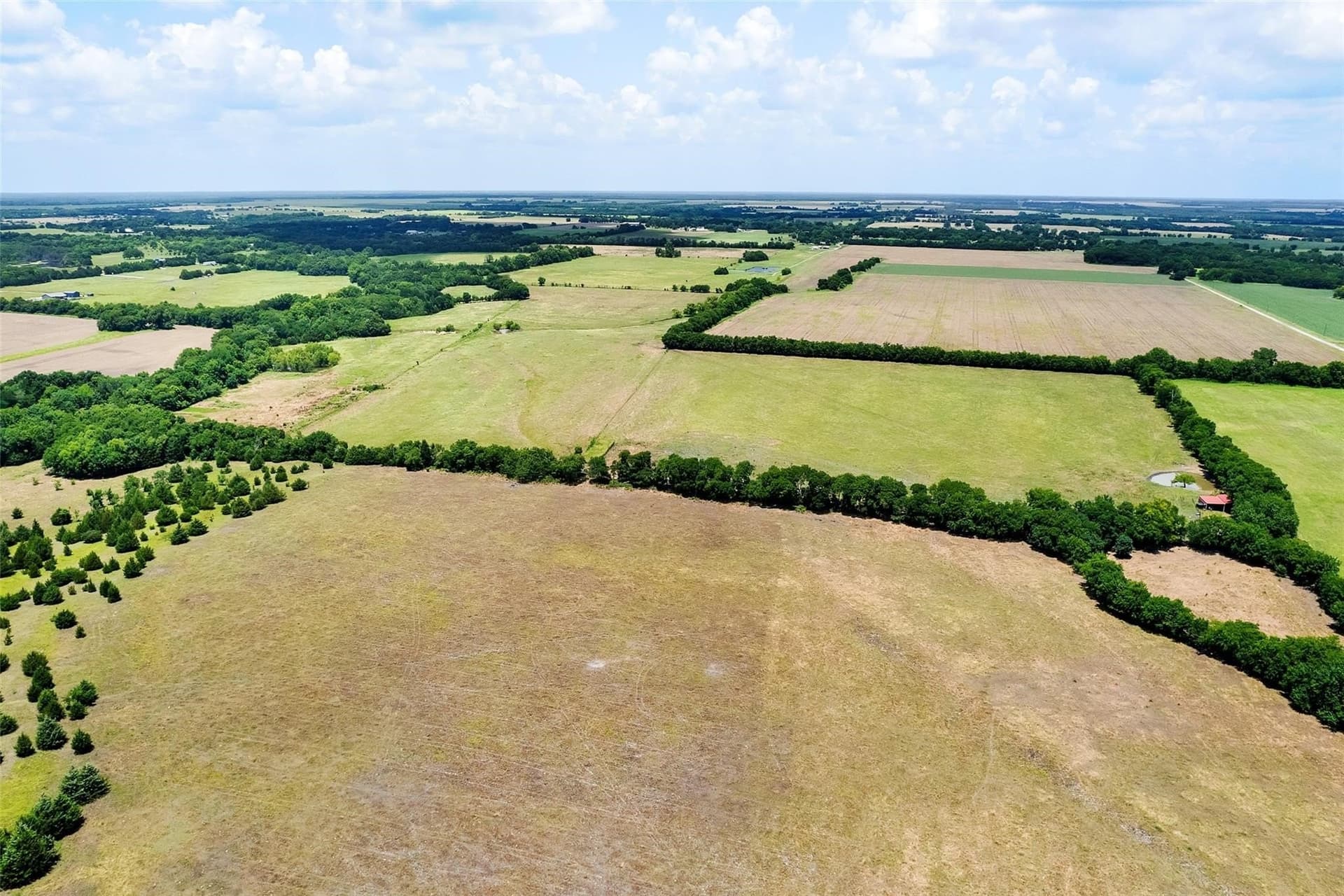 79.04 acres in Fannin County gallery image 2
