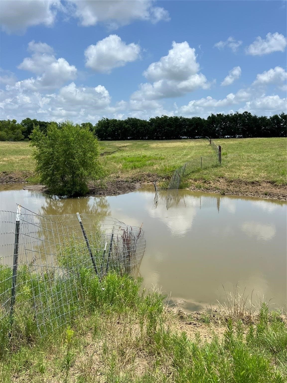 79.04 acres in Fannin County - photo 13