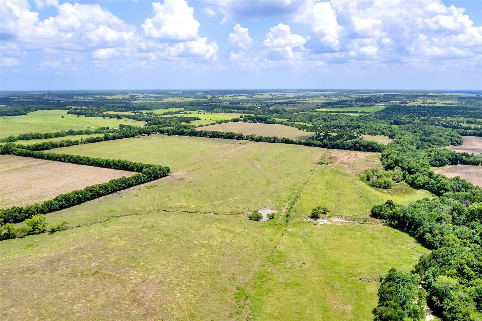 79.04 acres in Fannin County - photo 11
