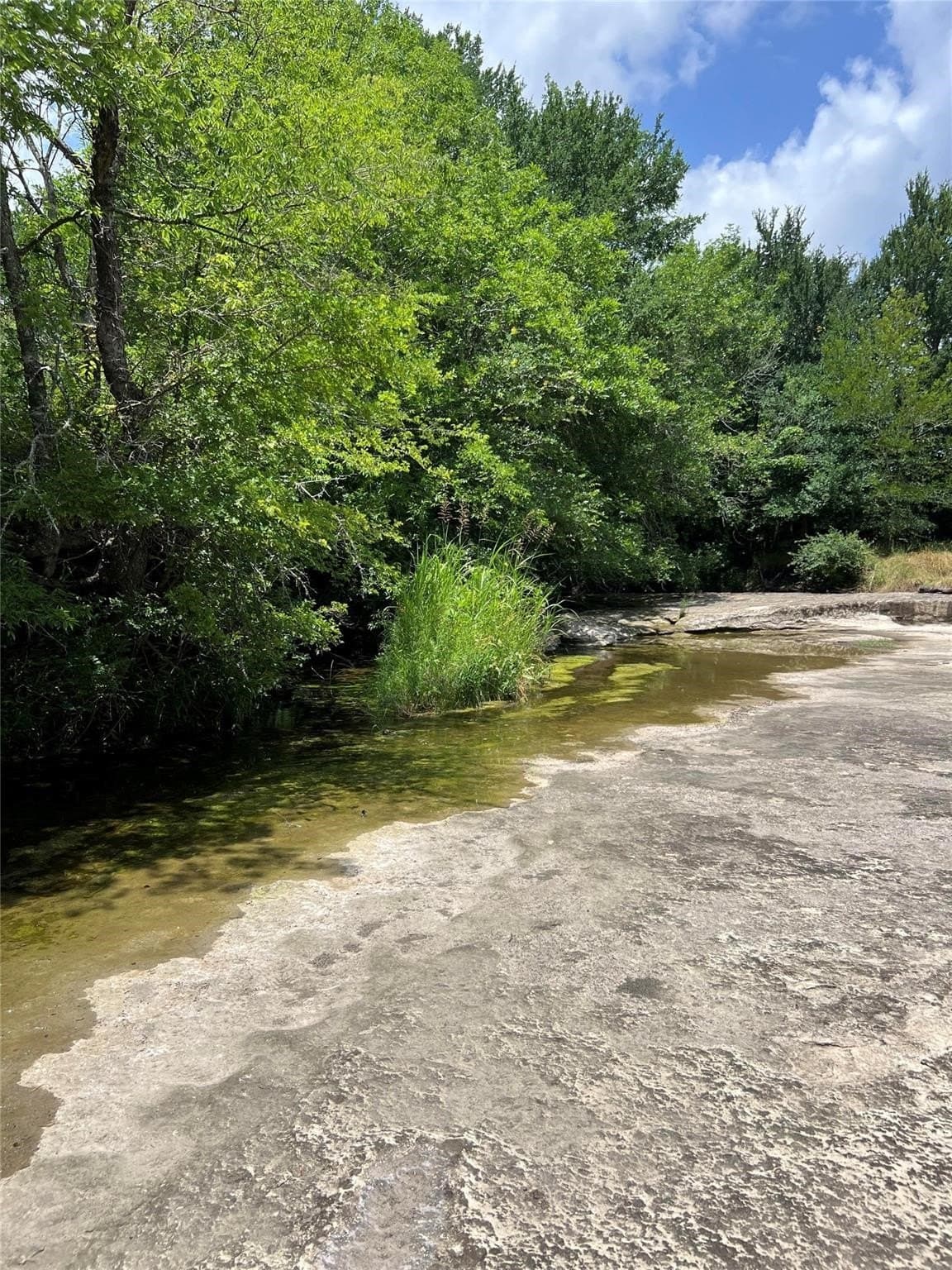 79.04 acres in Fannin County - photo 18