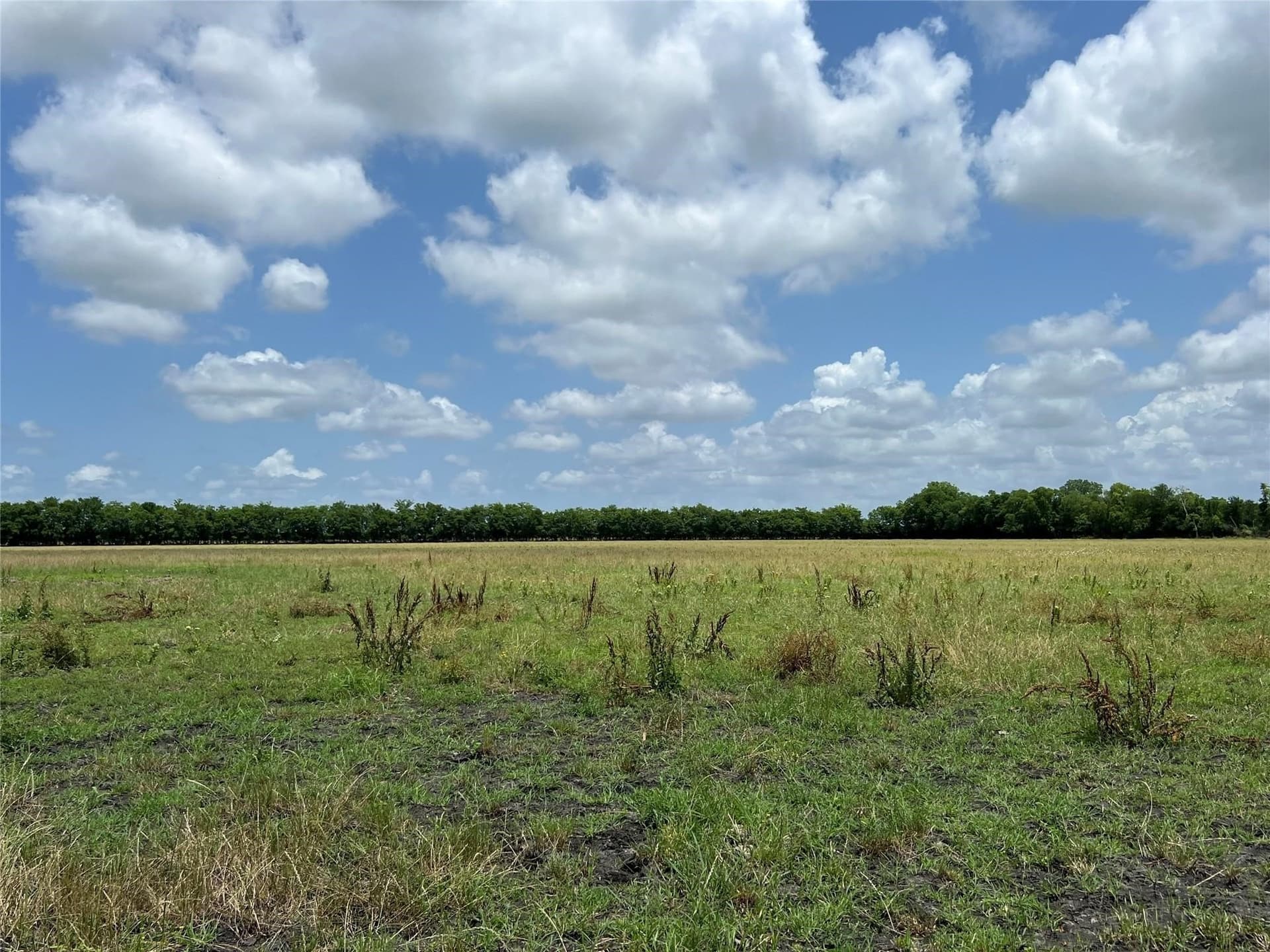 79.04 acres in Fannin County - photo 19