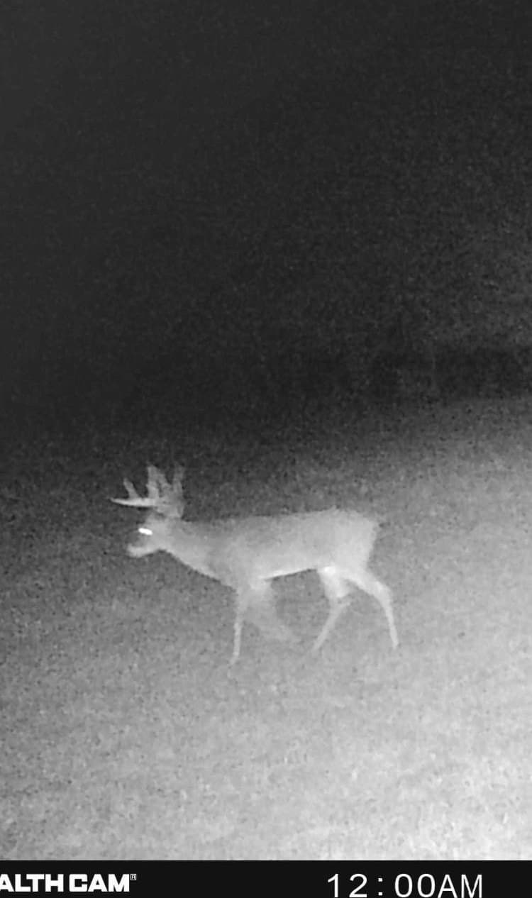 79.04 acres in Fannin County - photo 27