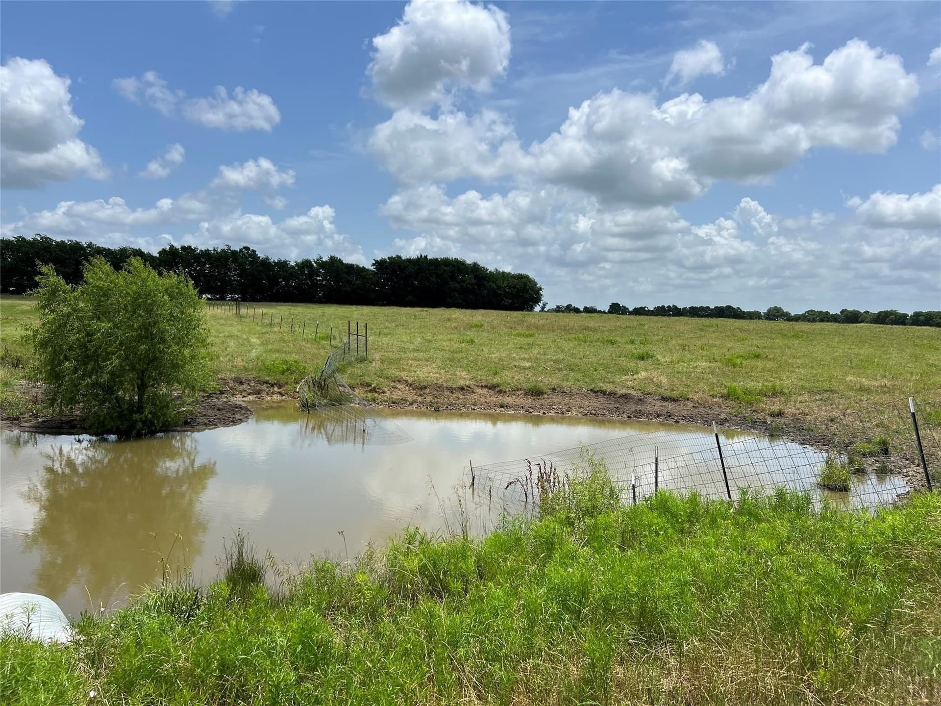 79.04 acres in Fannin County gallery image 4