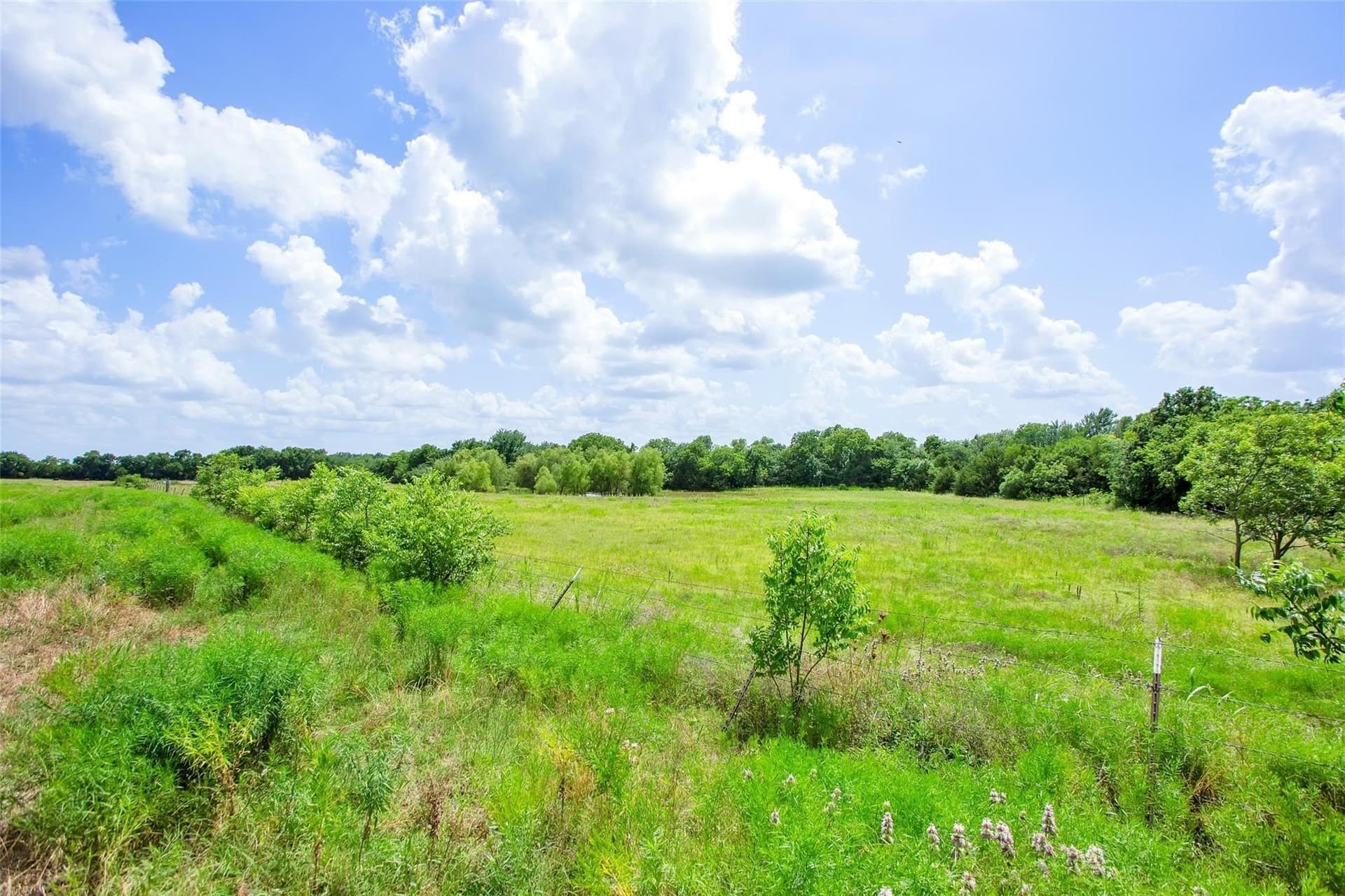 79.04 acres in Fannin County featured view