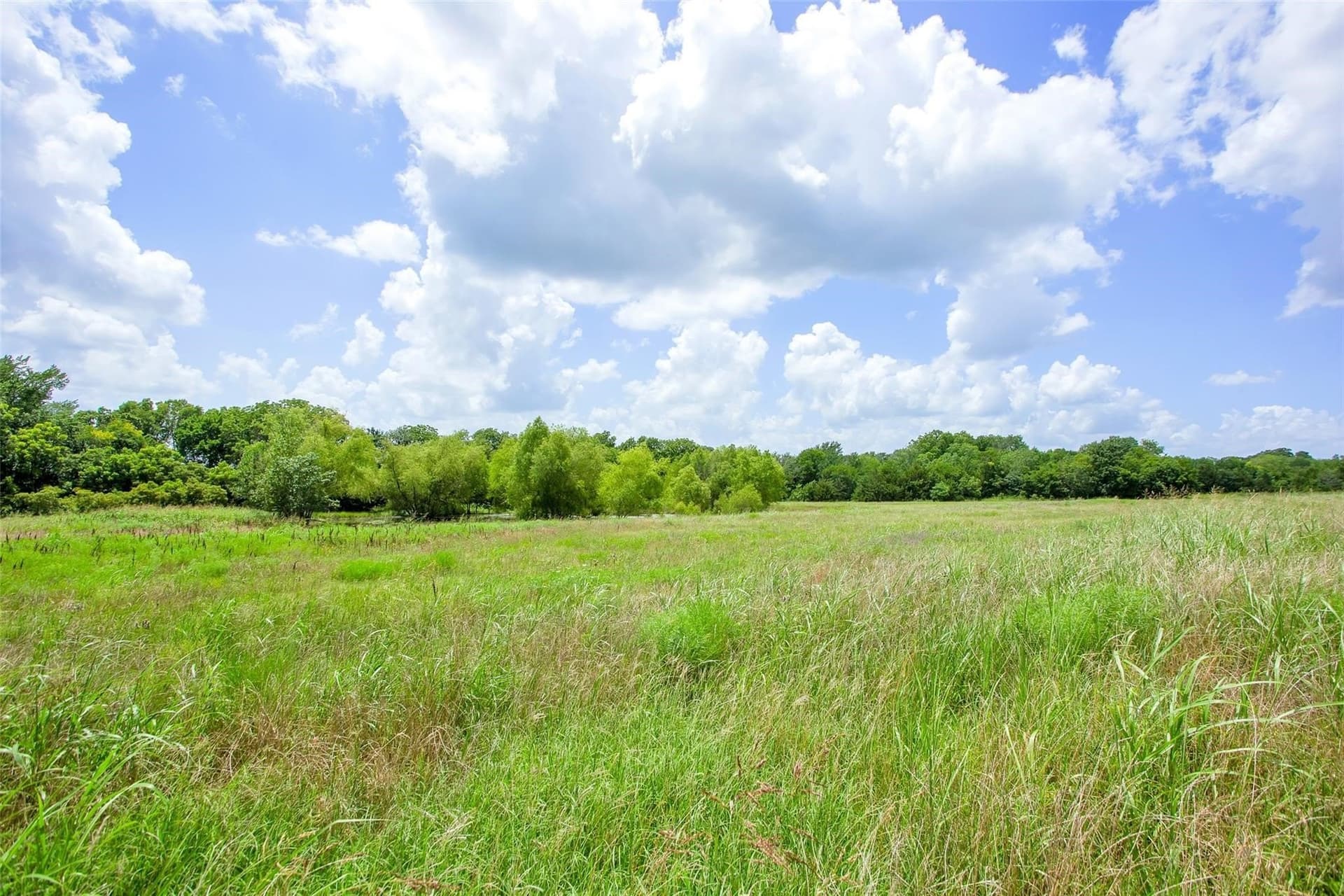 79.04 acres in Fannin County - photo 6