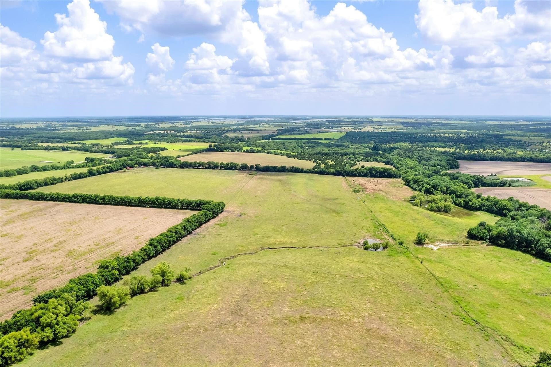 79.04 acres in Fannin County - photo 10