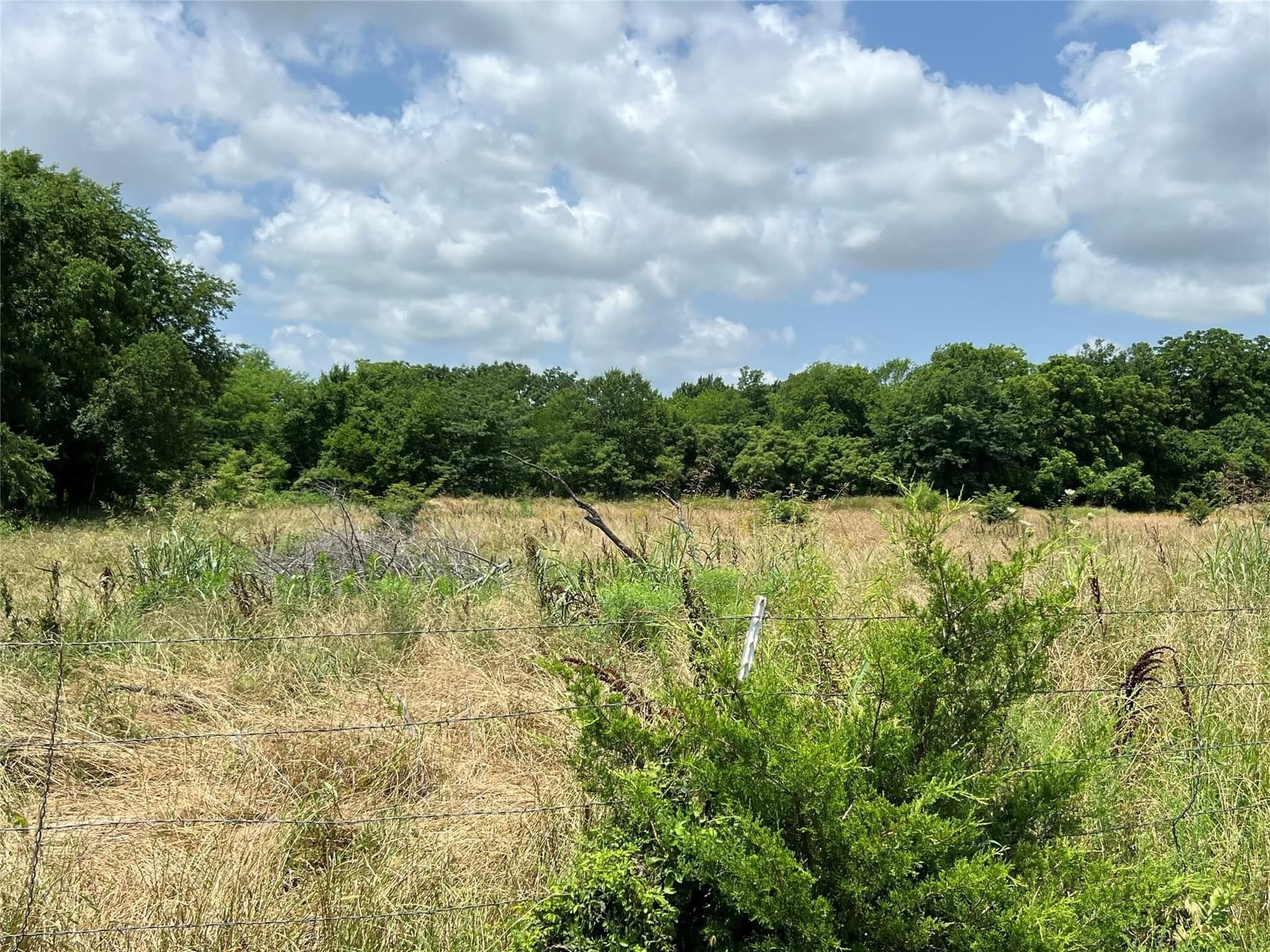 79.04 acres in Fannin County - photo 25