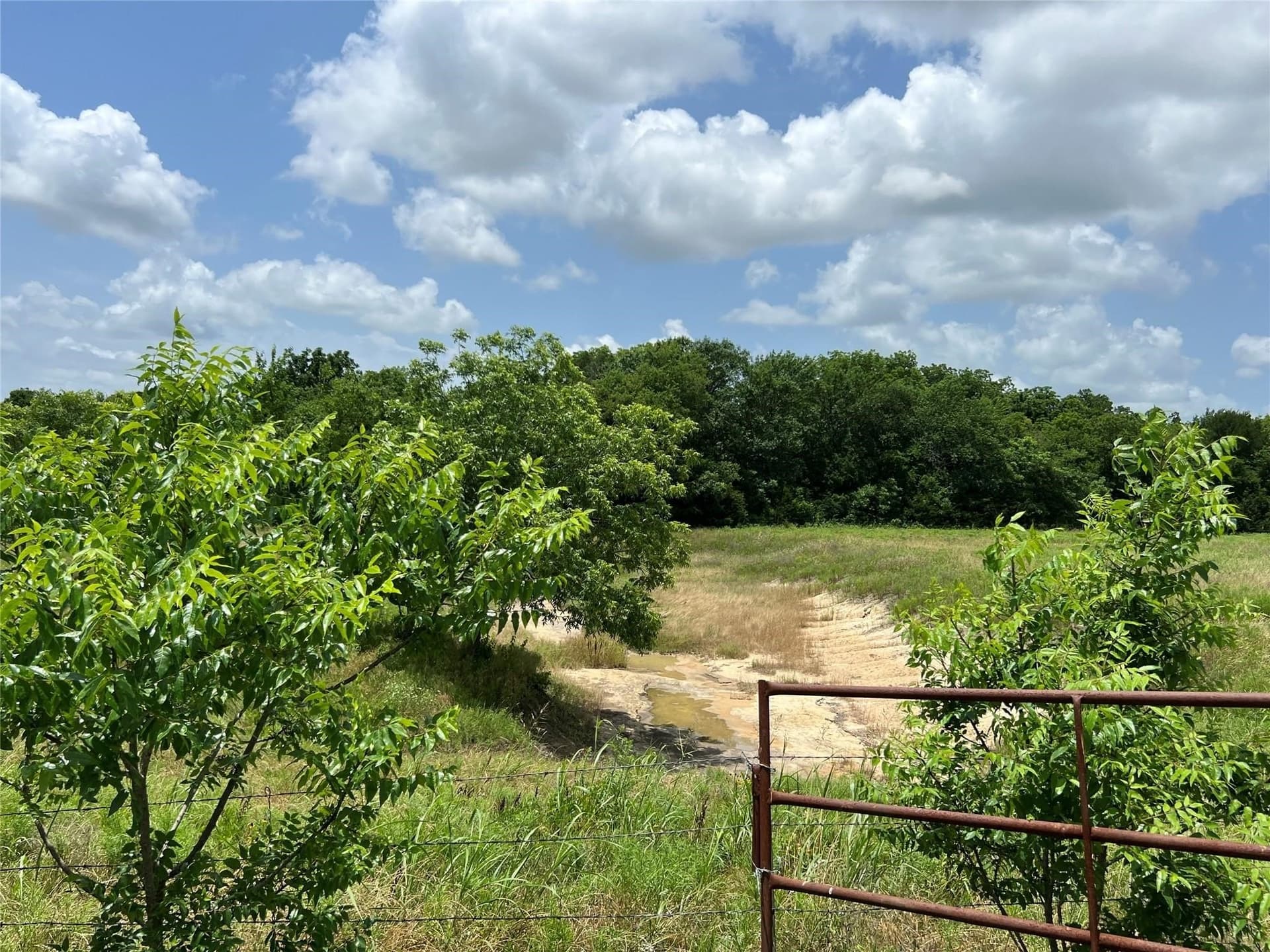 79.04 acres in Fannin County - photo 24