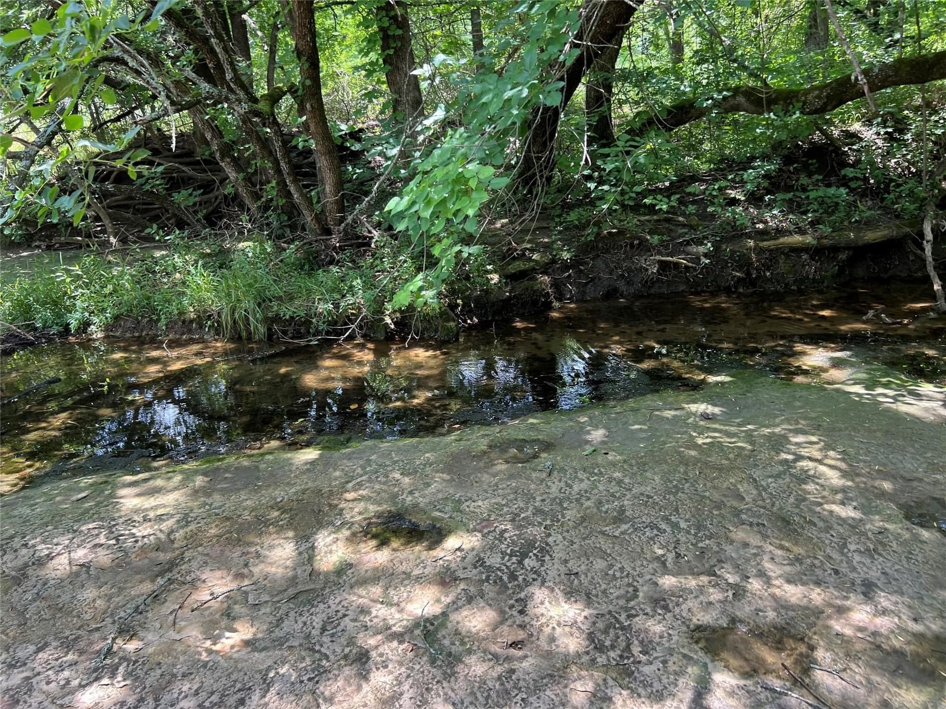 79.04 acres in Fannin County - photo 16