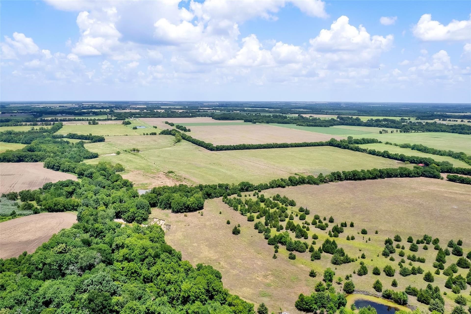 79.04 acres in Fannin County - photo 9