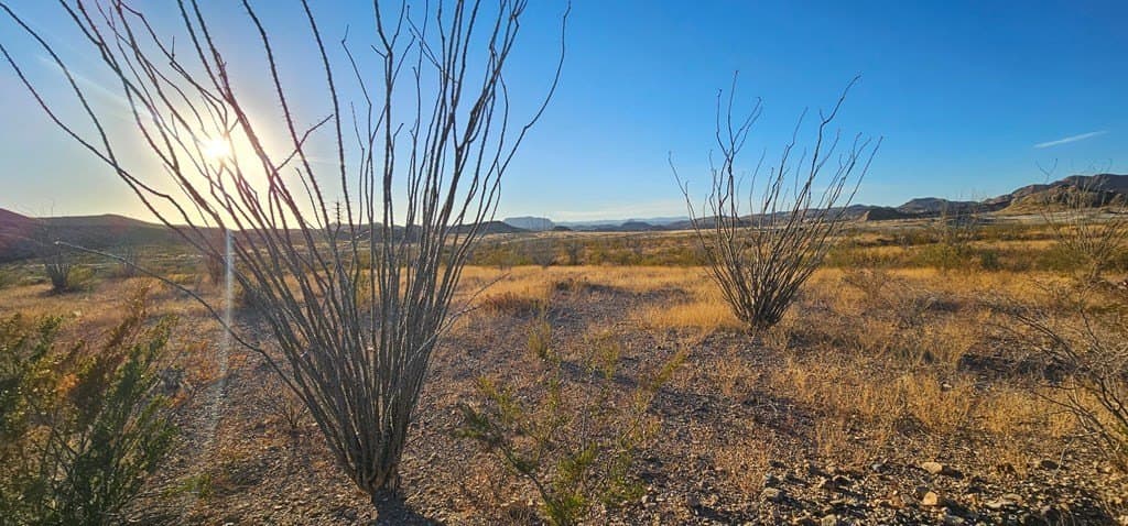 46.94 acres in Brewster County - photo 12