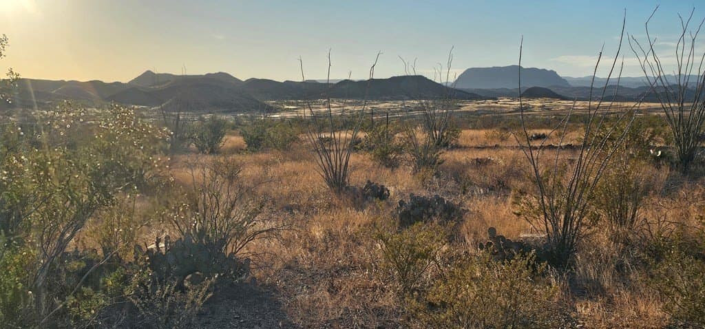 46.94 acres in Brewster County - photo 25