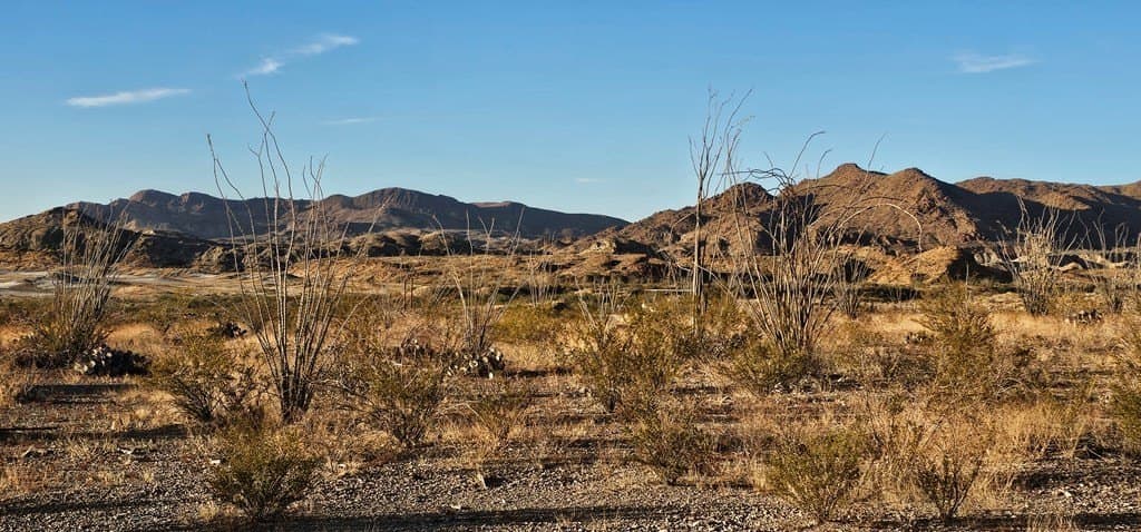 46.94 acres in Brewster County - photo 30