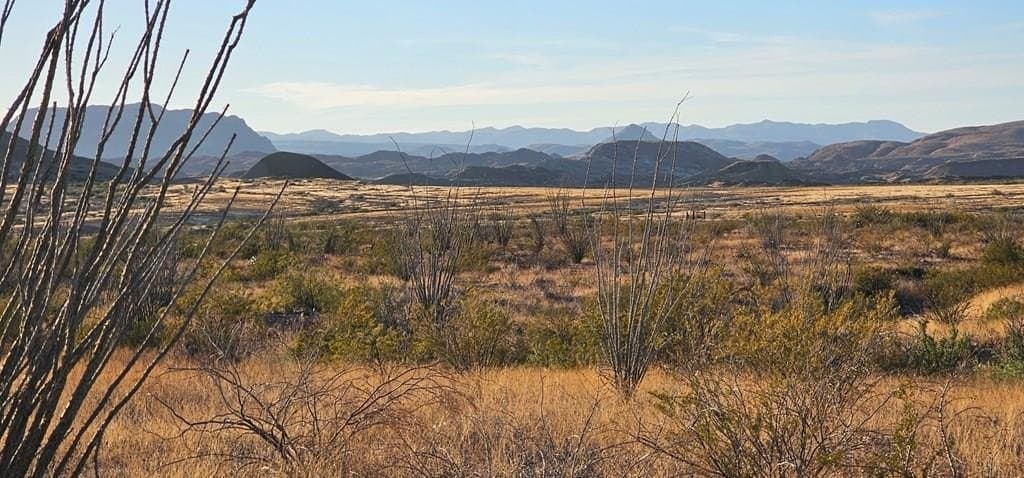 46.94 acres in Brewster County - photo 2