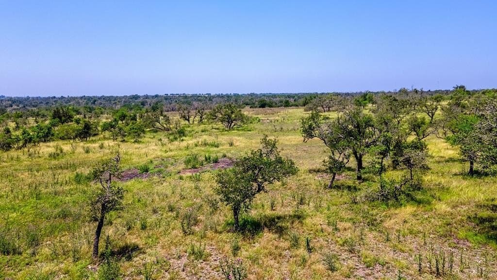 10.1 acres in Gillespie County gallery image 2