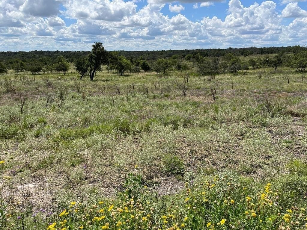 10.1 acres in Gillespie County