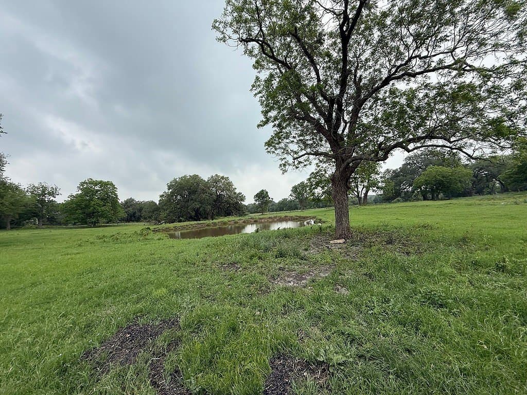 11.5 acres in Fayette County gallery image 4