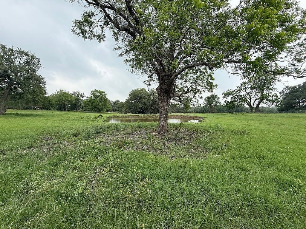 11.5 acres in Fayette County featured view