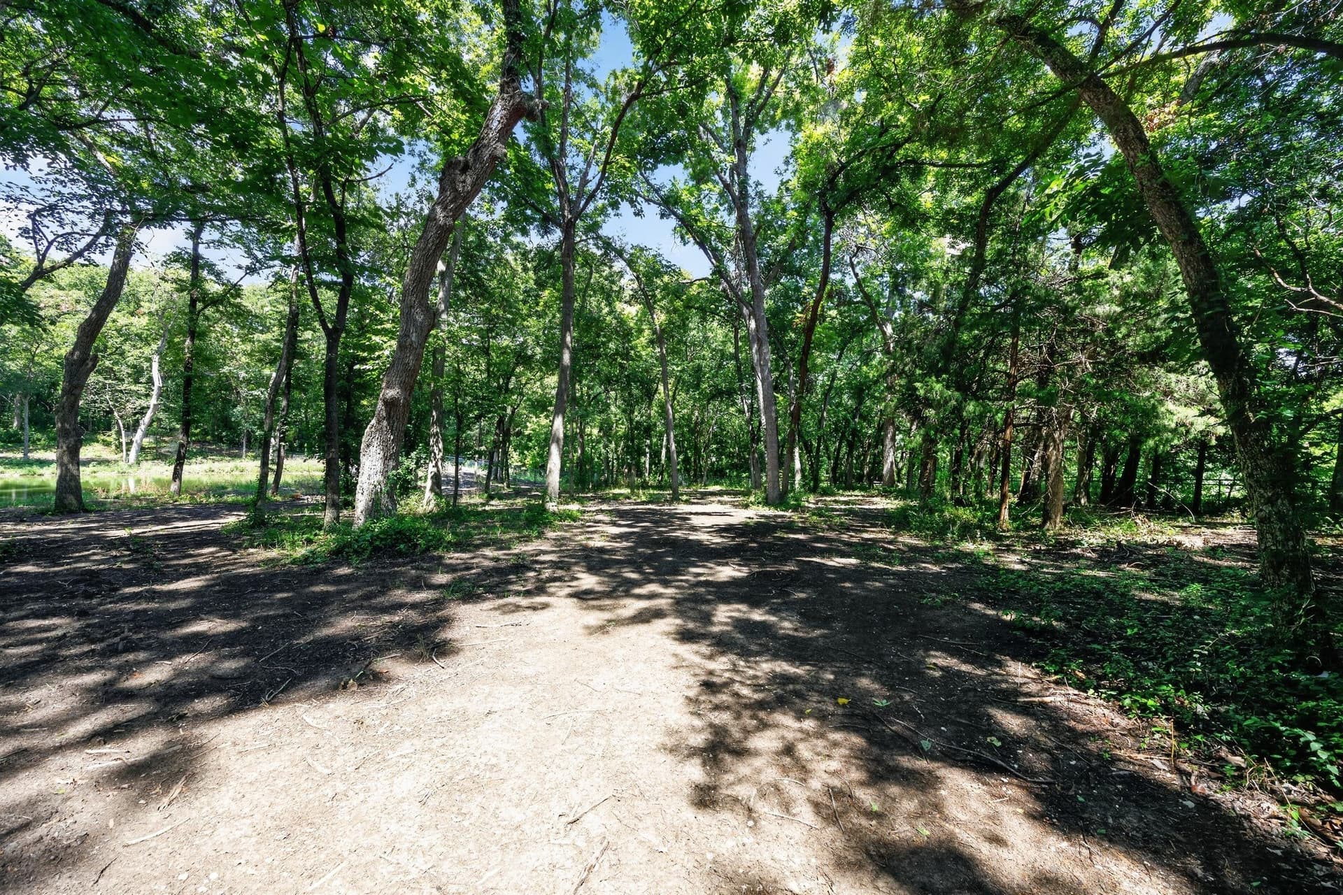 4.9 acres in Grayson County - photo 17