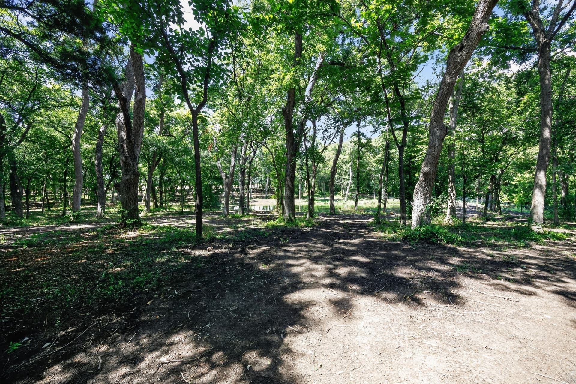 4.9 acres in Grayson County - photo 11