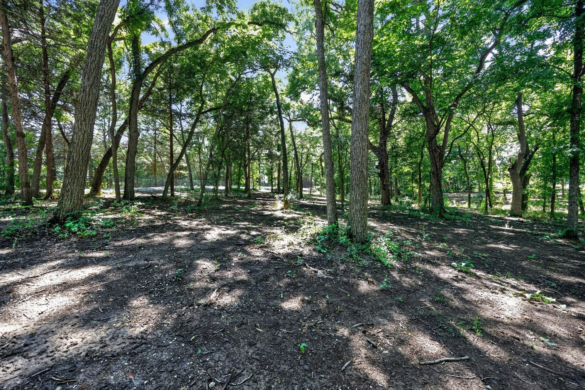 4.9 acres in Grayson County - photo 12