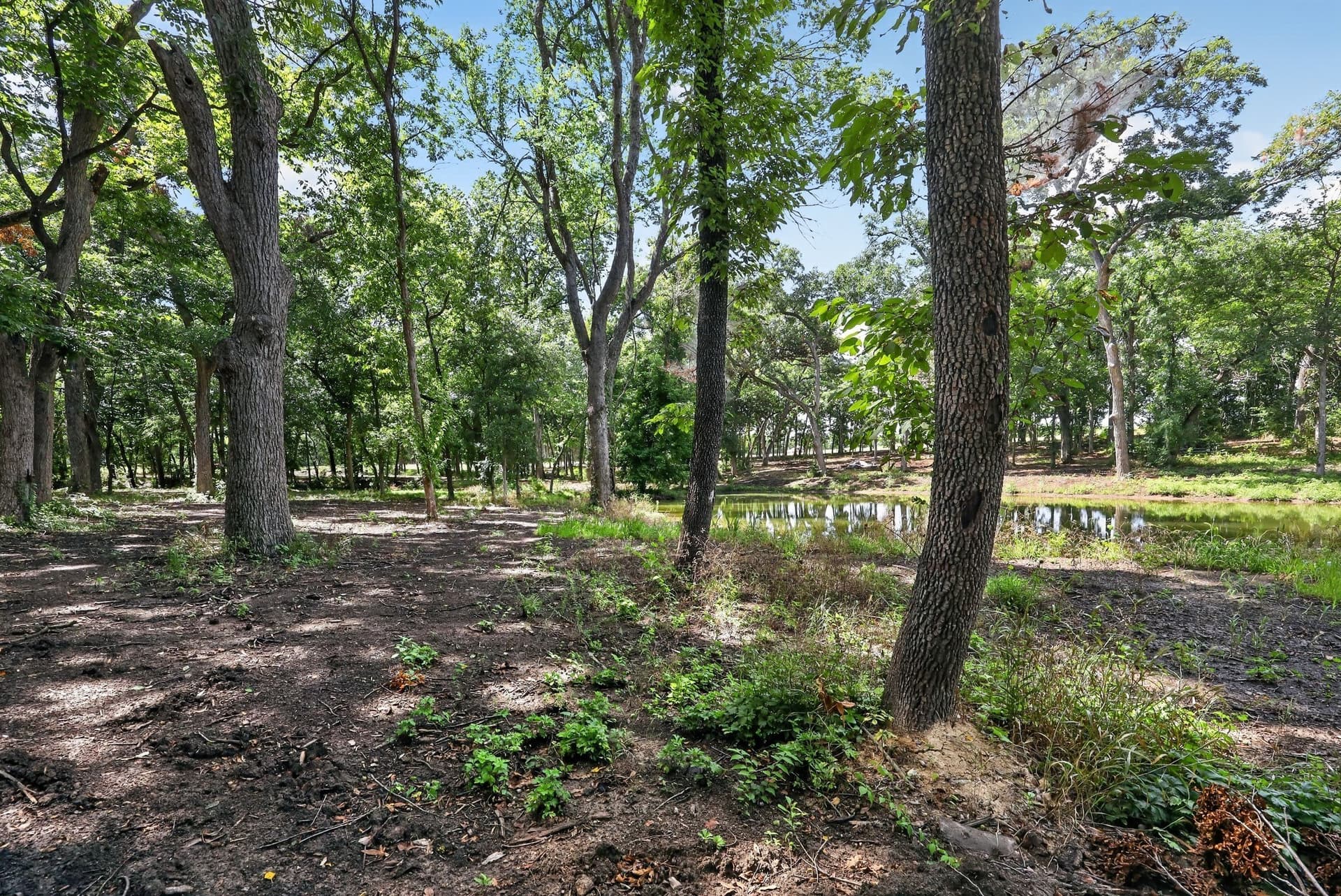 4.9 acres in Grayson County gallery image 2