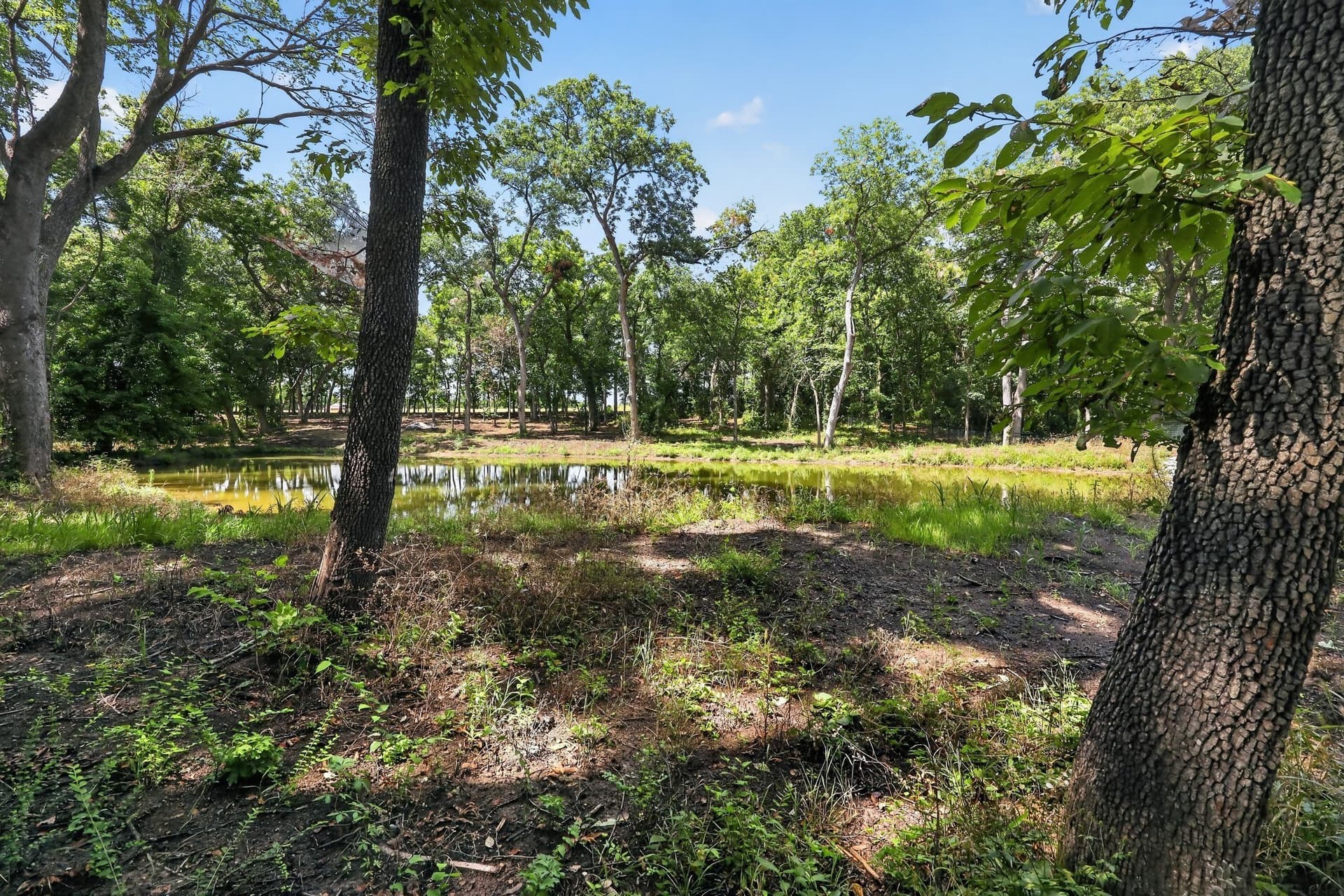 4.9 acres in Grayson County - photo 8