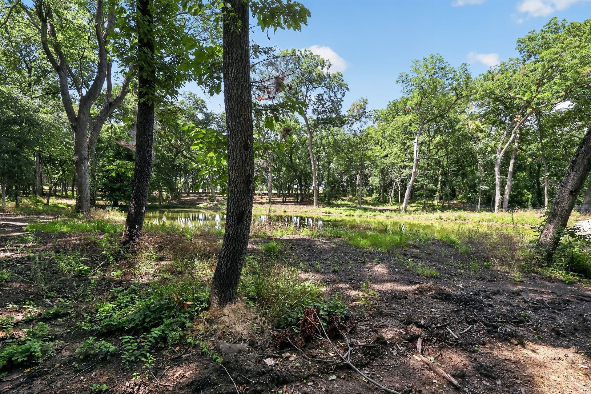 4.9 acres in Grayson County gallery image 3