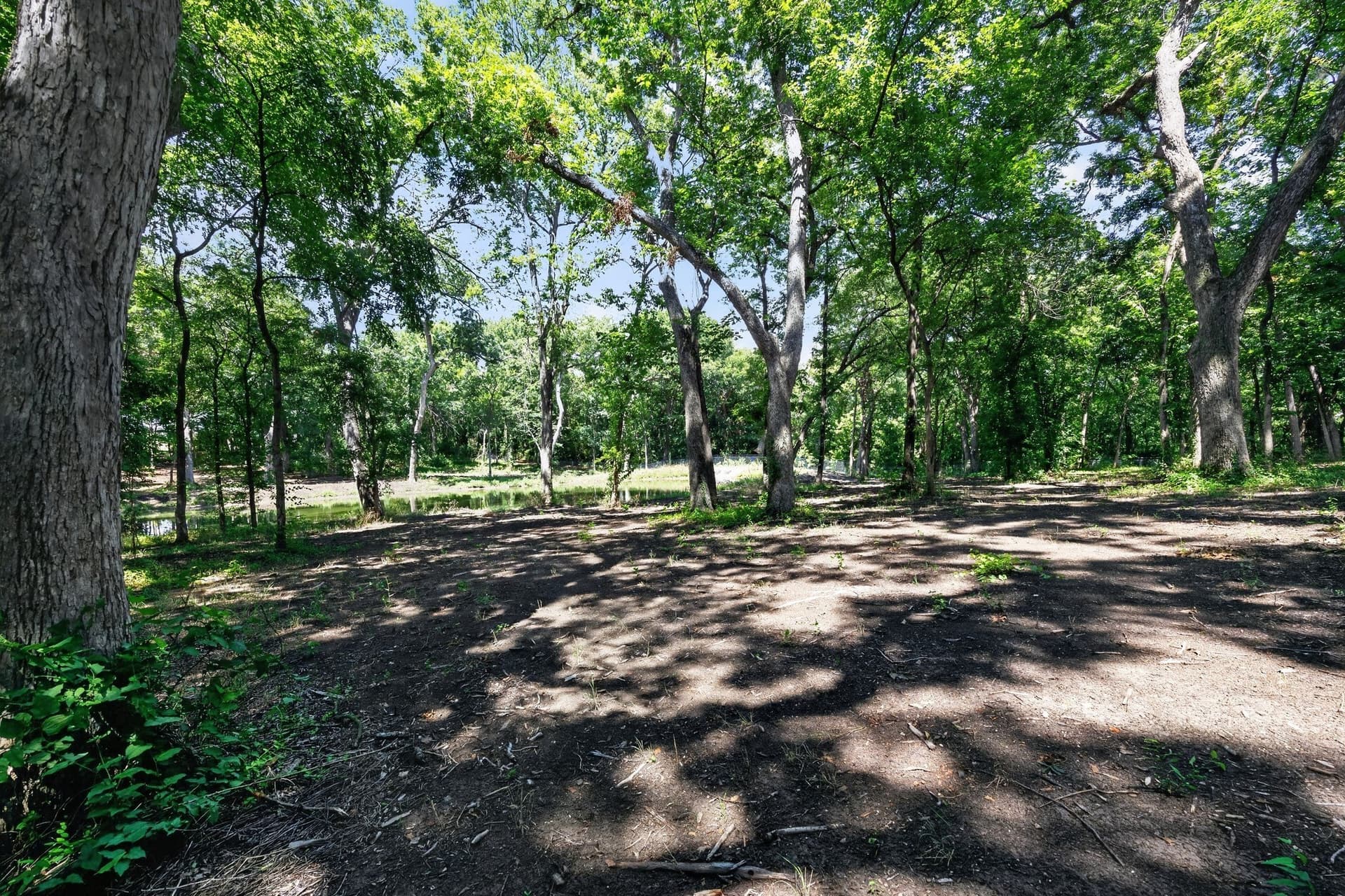 4.9 acres in Grayson County - photo 18