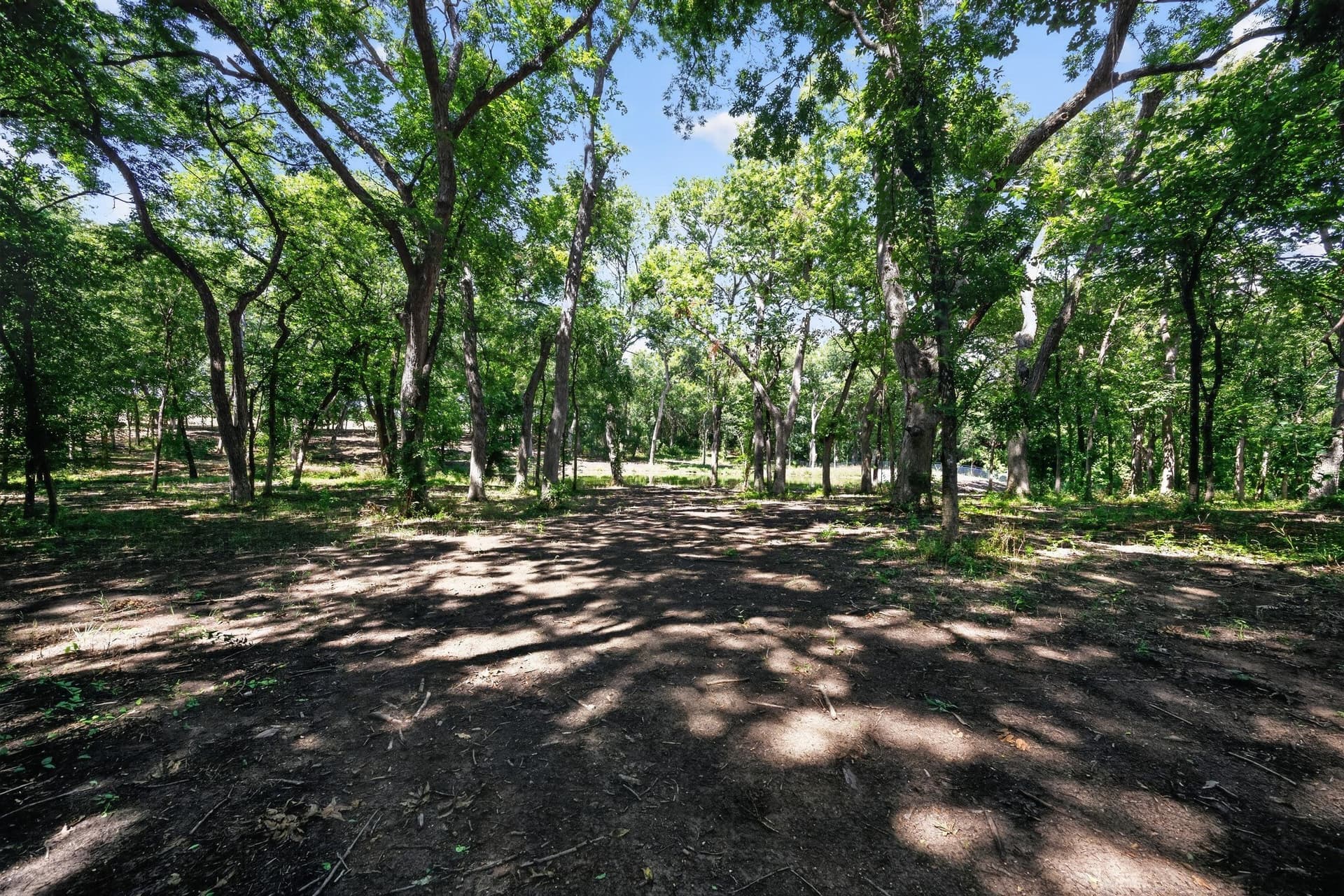 4.9 acres in Grayson County - photo 6