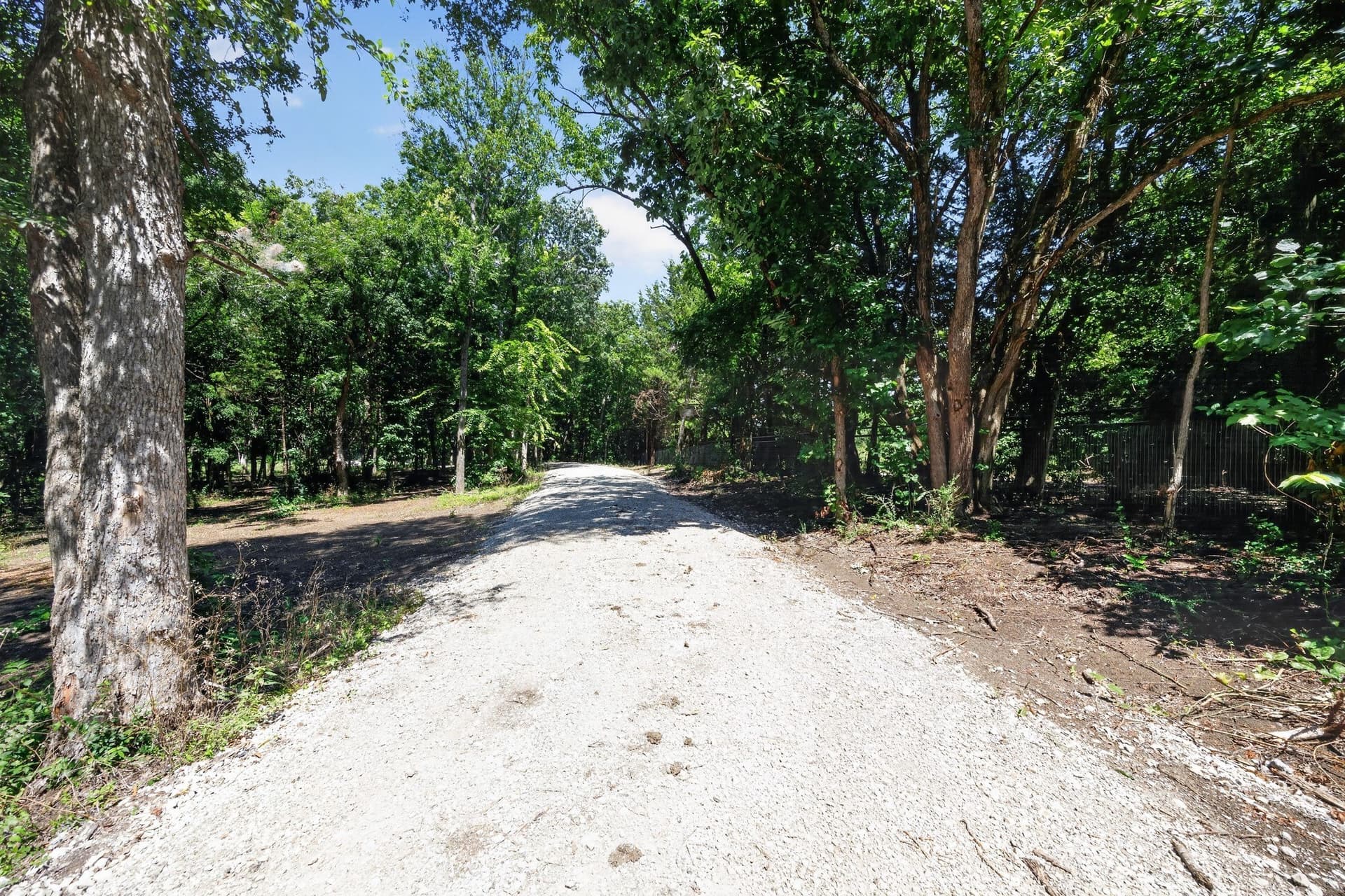 4.9 acres in Grayson County gallery image 4