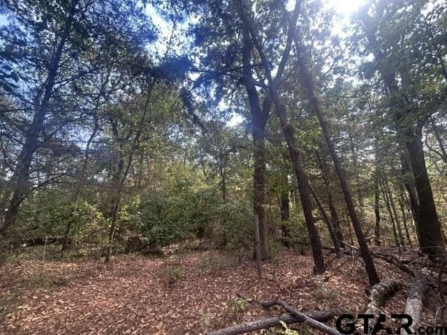 10 acres in Smith County - photo 13