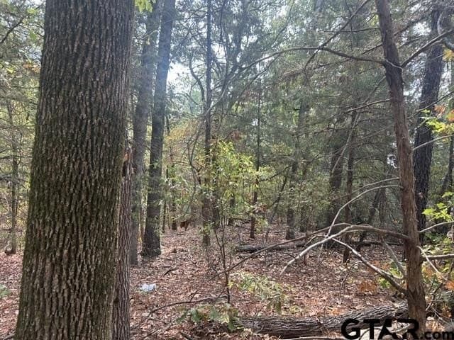 10 acres in Smith County - photo 14