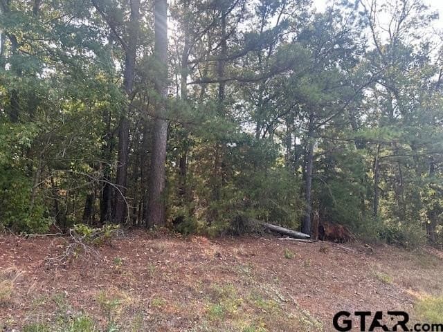 10 acres in Smith County - photo 10
