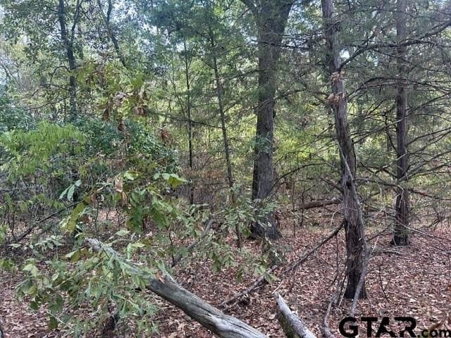 10 acres in Smith County - photo 15