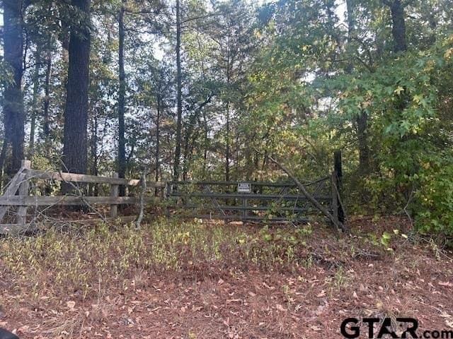 10 acres in Smith County - photo 11