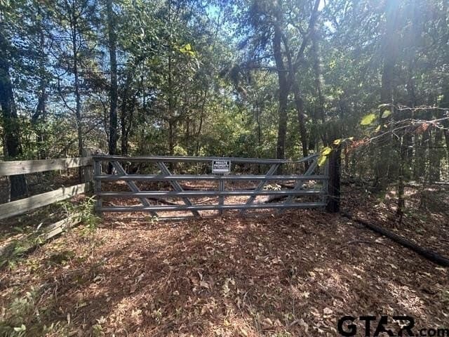 10 acres in Smith County - photo 12