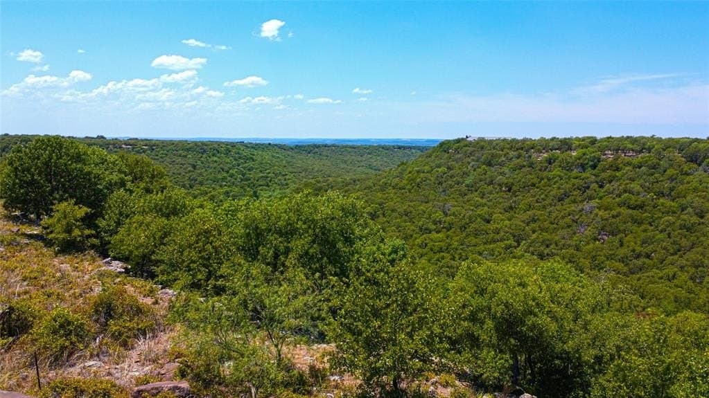 1.24 acres in Palo Pinto County