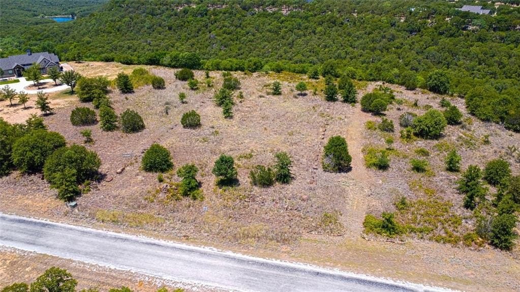 1.24 acres in Palo Pinto County gallery image 3