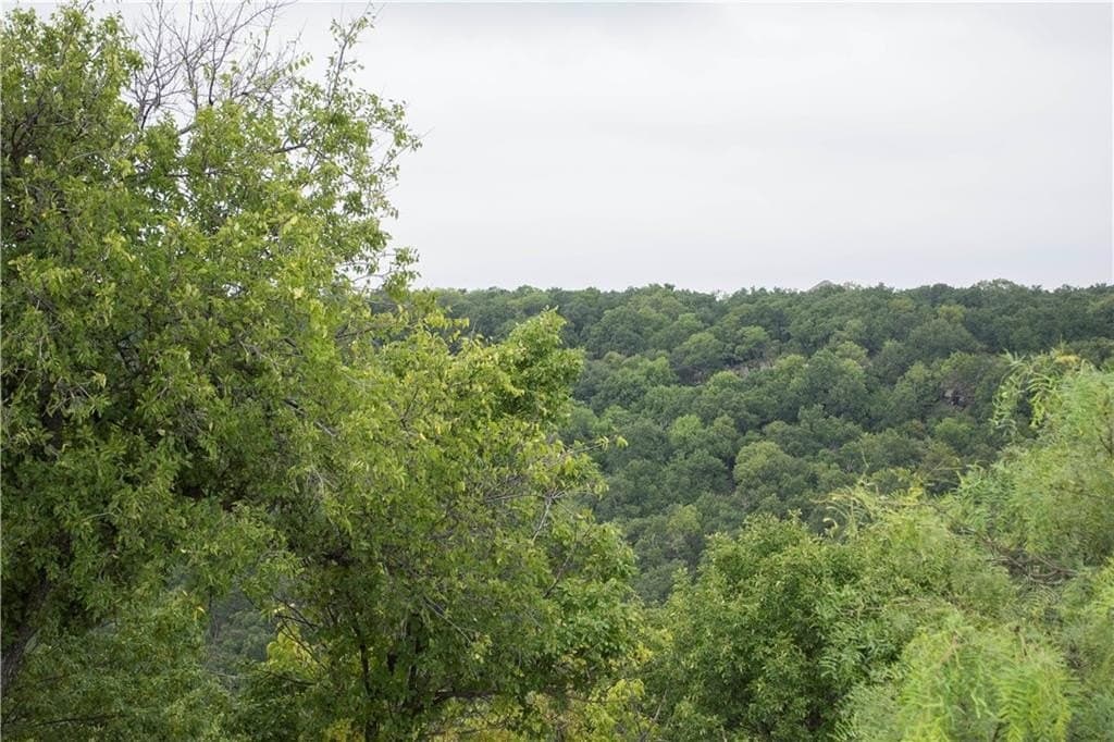 1.24 acres in Palo Pinto County featured view