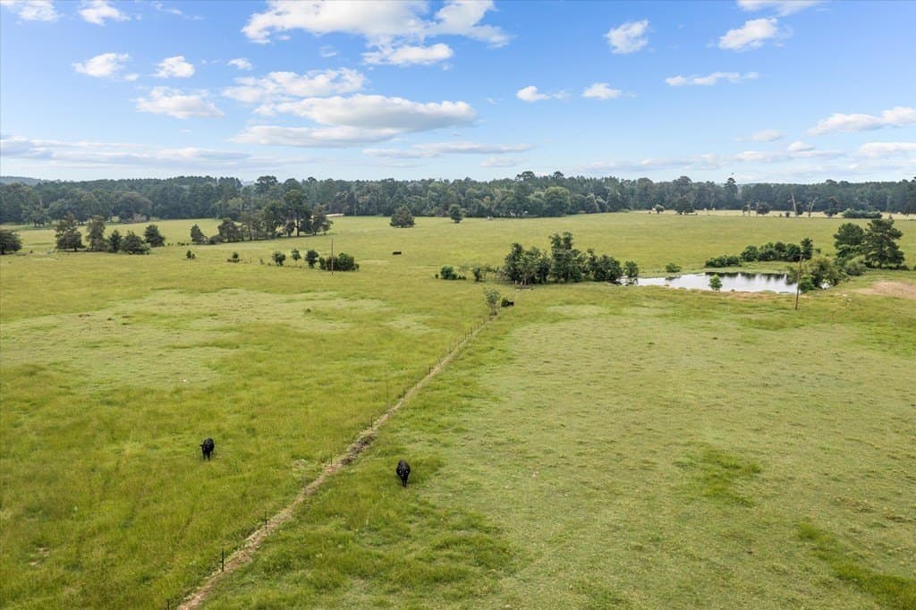 55.37 acres in Texas County - photo 27