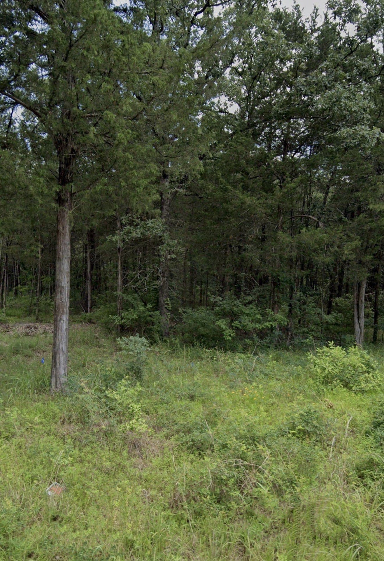 1.29 acres in Rains County gallery image 2