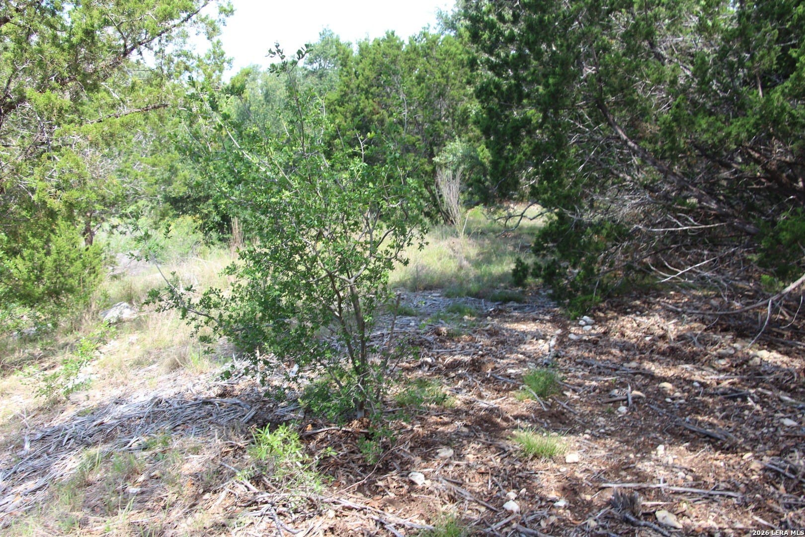 3.11 acres in Medina County - photo 42