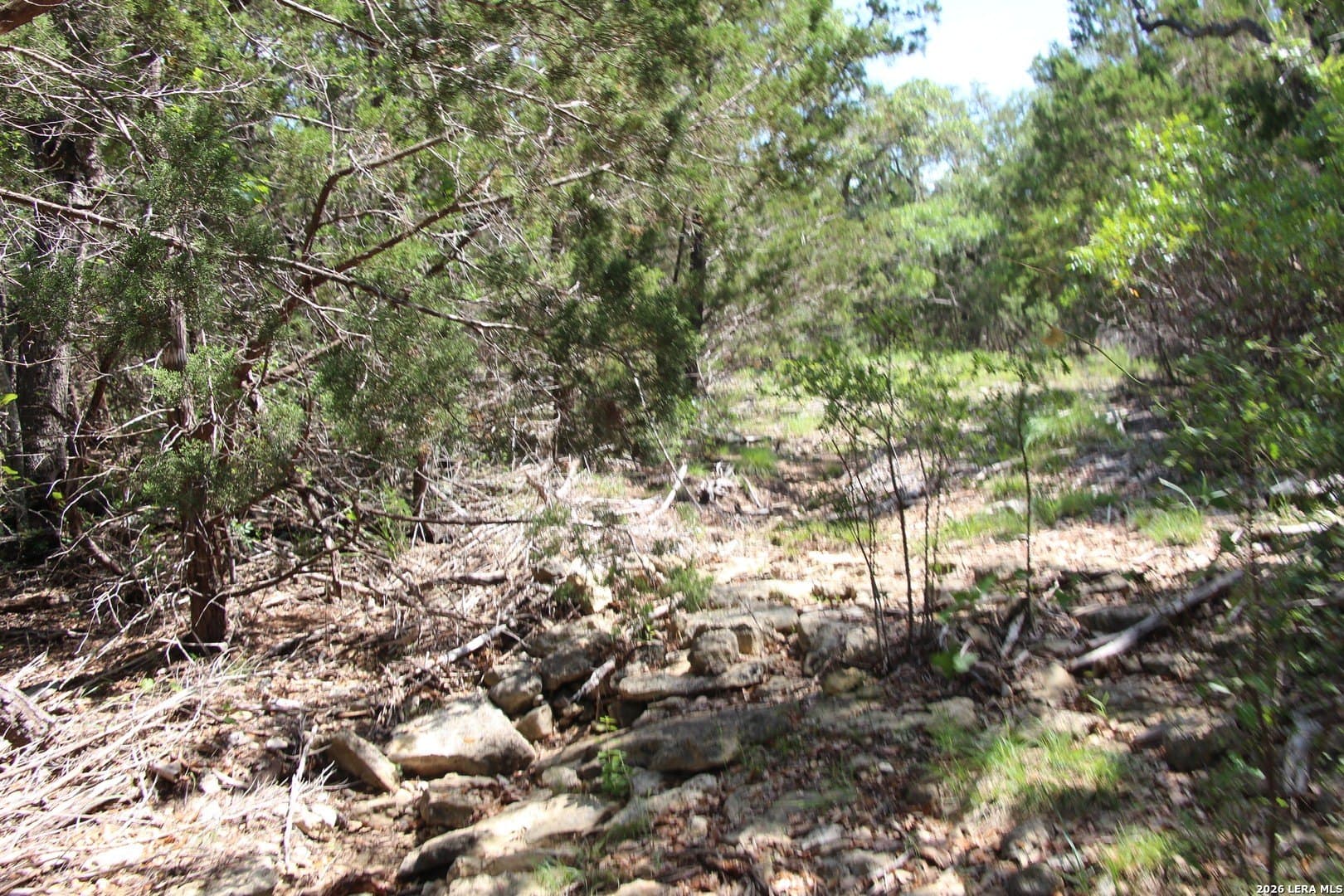 3.11 acres in Medina County - photo 49