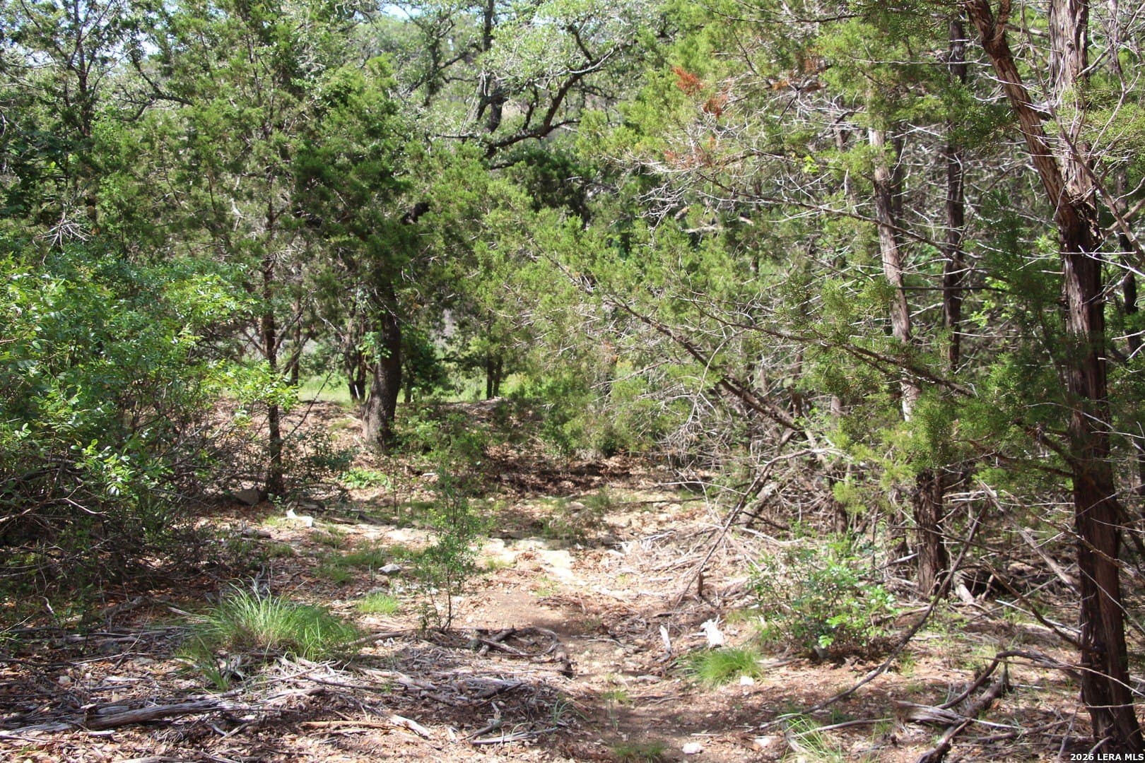 3.11 acres in Medina County - photo 23