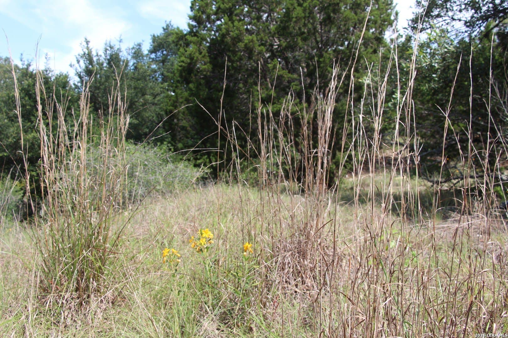 3.11 acres in Medina County - photo 43