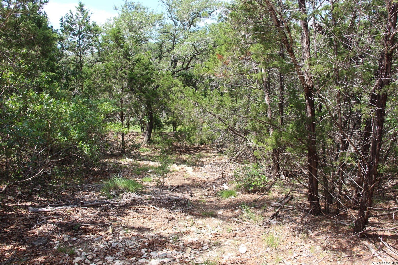 3.11 acres in Medina County - photo 24